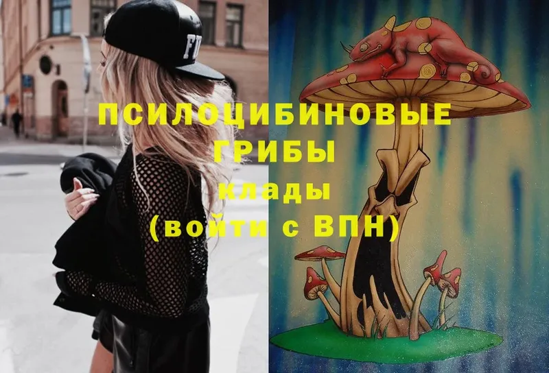 Псилоцибиновые грибы Psilocybe Кубинка